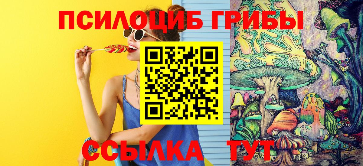 Галлюциногенные грибы Psilocybe  Вход с VPN  Сланцы  Псилоцибиновые грибы прущие грибы 